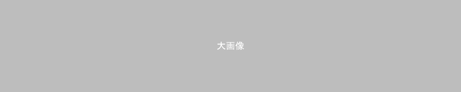 f.f.vacation house